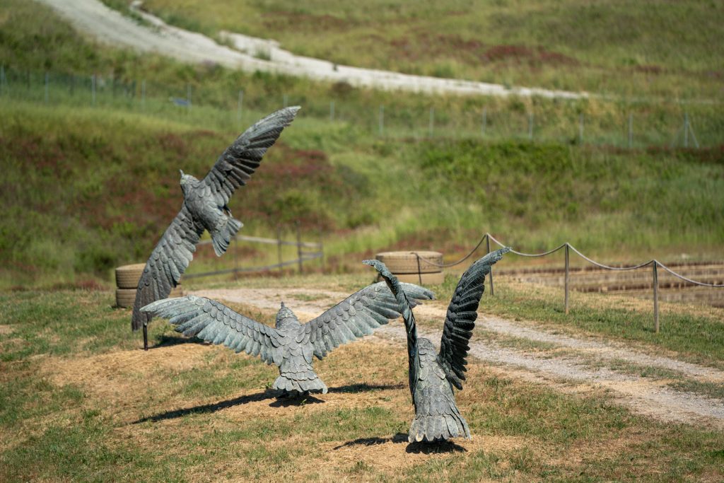 Les mouettes