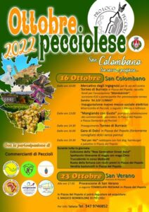 Celebrations: San Colombano